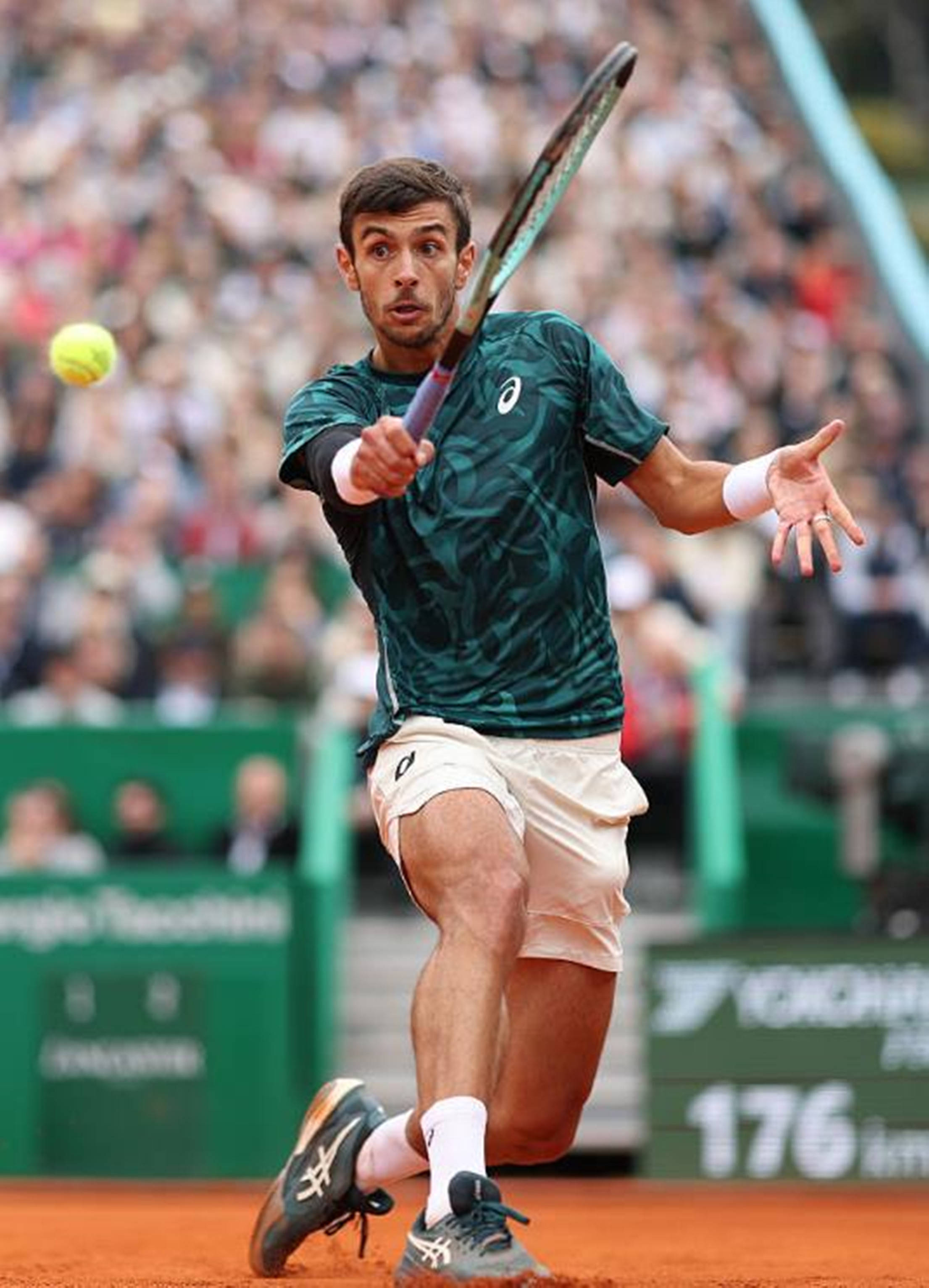 年的亚洲杯 年的亚洲杯